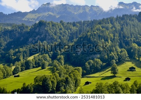 Similar – Foto Bild Schweizer Alpental im Morgenlicht