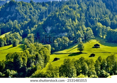 Similar – Foto Bild Schweizer Alpental im Morgenlicht