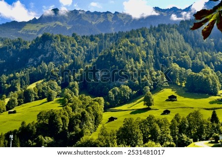 Similar – Foto Bild Schweizer Alpental im Morgenlicht