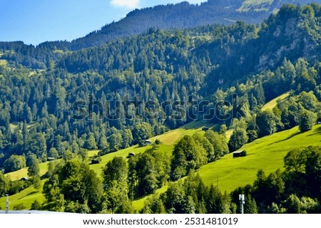 Similar – Foto Bild Schweizer Alpental im Morgenlicht