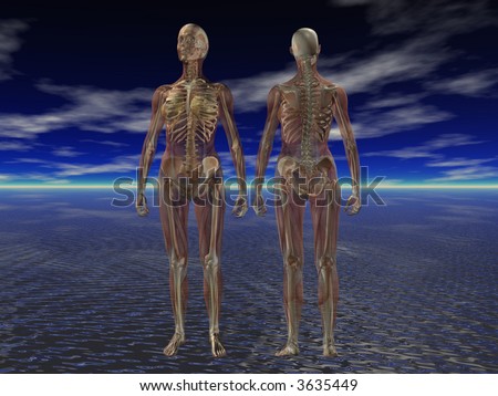 Female Human Anatomy Muscle and Skeleton on Deep Blue Sky with Ocean Sunset background
