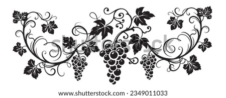 Branch with grape silhouette illustration isolated on white background, vector. Grape silhouette with leaves. Black and white minimalist art design. Fruit, healthy food