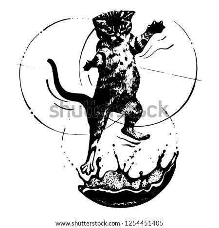 A vector cat startled by a splash of 
water, surrounded by three circles.