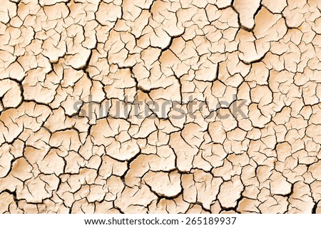 Dry, cracked dirt texture
