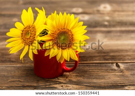 Yellow sunflowers in a red cup
