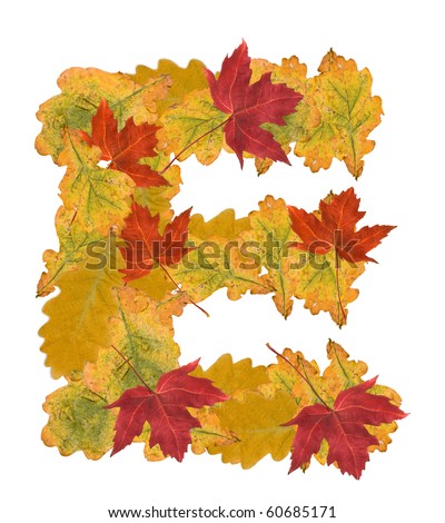 Alphabet Of Autumn Leaves . Letter E Stock Photo 60685171 : Shutterstock
