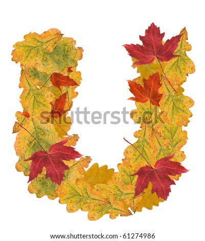 Alphabet Of Autumn Leaves . Letter U Stock Photo 61274986 : Shutterstock