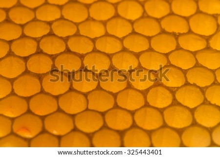 Natural honeycomb pattern in bright sunlight.
