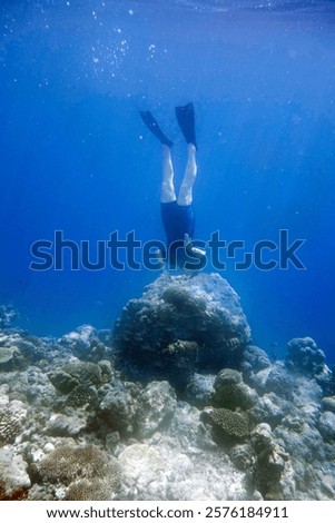 Similar – Image, Stock Photo Young woman in diving mask swimming underwater