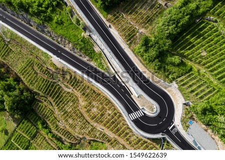 Shutterstock Puzzlepix