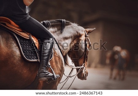 Similar – Image, Stock Photo The horse of the gaucho and his two dogs are waiting
