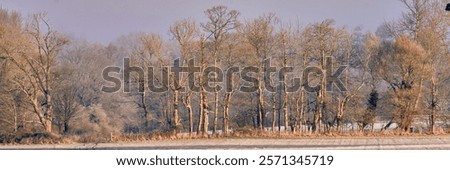 Similar – Image, Stock Photo Young deciduous tree in the middle of an old disused track bed , selective sharpness