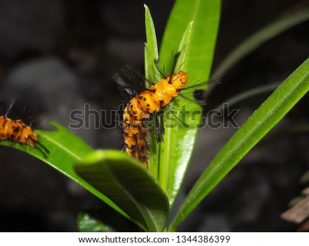 Shutterstock Puzzlepix