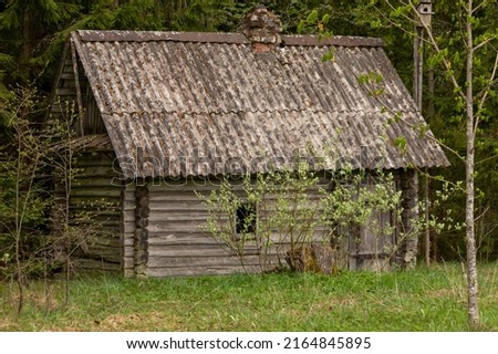 Old, dilapidated hut in the forest. Photo stock © 