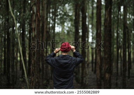 Similar – Image, Stock Photo Walking between tree + bark