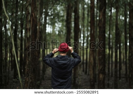 Similar – Image, Stock Photo Walking between tree + bark