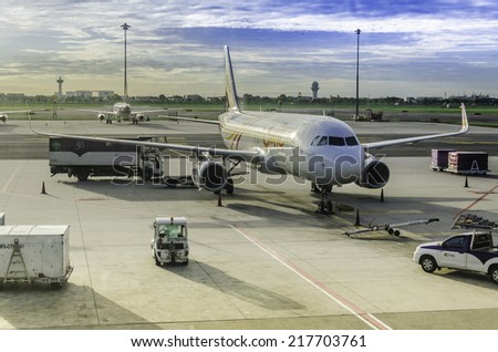 BANGKOK, THAILAND-SEPTEMBER 9, 2014: Airplane parking on Bangkok International Airport  Bangkok,Thailand. September 9 2014.Thai Airways
