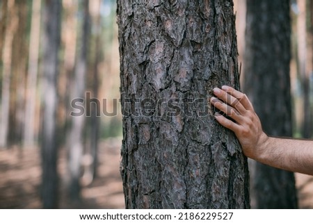 Similar – Foto Bild Liegende Baumstämme ruhig