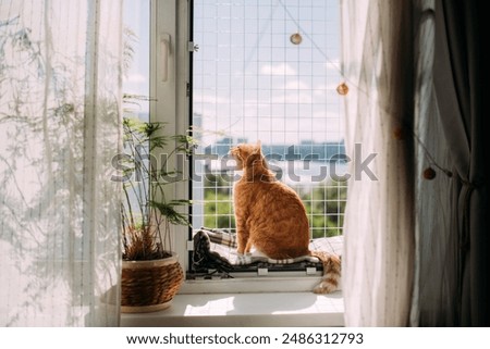 Foto Bild eleganter hoher Zaun vor Fenster mit geschlossenen Fensterläden