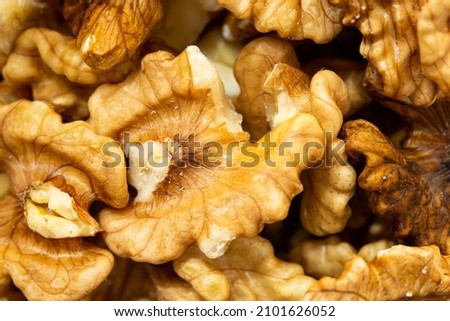 Similar – Image, Stock Photo Macro photo of many small green sugar fir trees