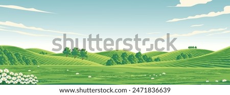 vector illustration of a view of a grass field in a hilly agricultural area