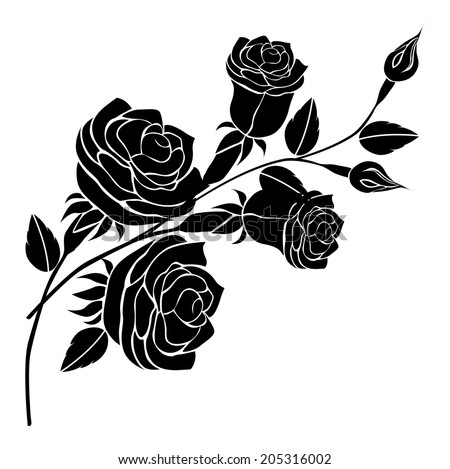 Roses Vector - 205316002 : Shutterstock