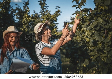 Similar – Foto Bild Haselnuss Blatt auf reflektierenden Untergrund im Detail fotografiert