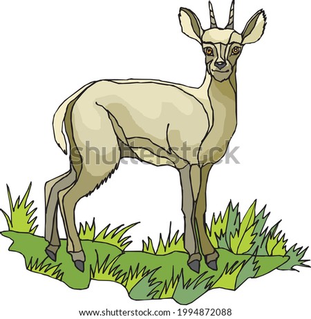 illustration of a white deer in white background