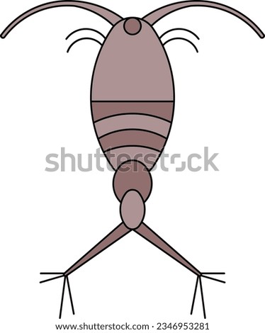 Copepod insect bug animal wild Outline