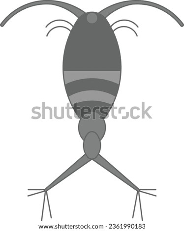 Copepod insect bug animal wild