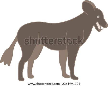 Cape hunting dog African wild dog dog animal wild