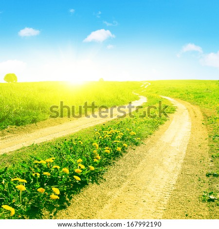 Summer field with road and sun in blue sky.