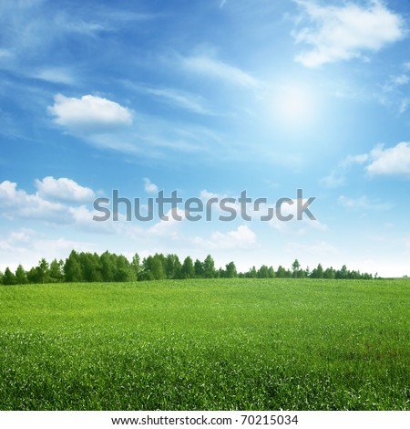 Image, Stock Photo Spring green meadow with flowers and trees