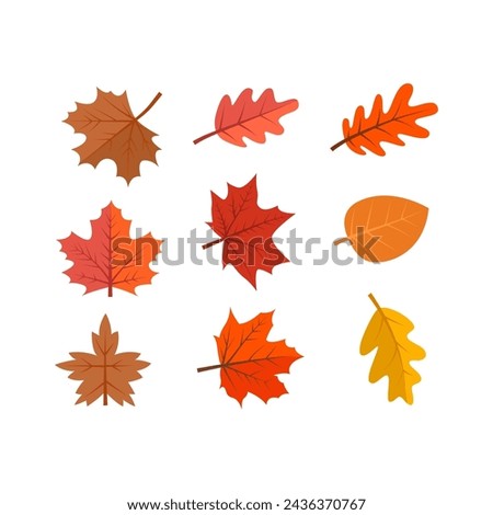 Vector Flat autumn leaves collection