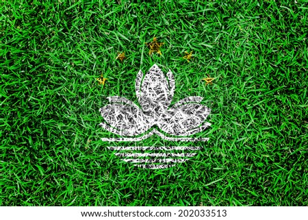 Macao Flag color grass texture background concept