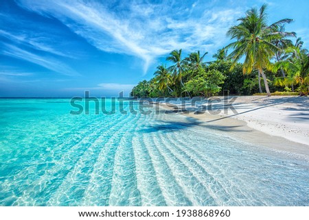 Maldives Islands Ocean Tropical Beach Imagine de stoc © 