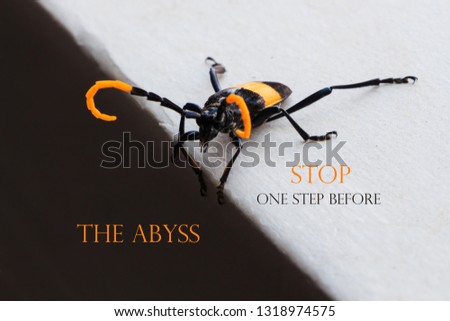Similar – Image, Stock Photo On the Abyss Beetle