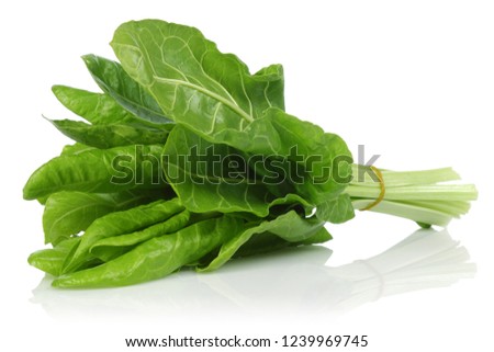 Similar – Image, Stock Photo A bunch of green asparagus on wooden surface