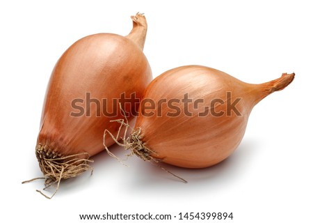 Fresh shallots, onions isolated on white background Foto d'archivio © 