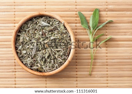 Common Sage (Salvia officinalis),fresh and dried leaves,medicinal plant