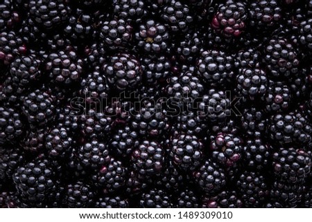 Similar – Image, Stock Photo Background from fresh Blackberries, close up. Lot of ripe juicy wild fruit berries lying on the table