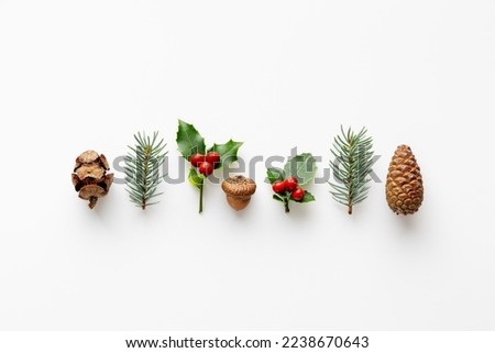 Similar – Image, Stock Photo Dry holly leaf on purple
