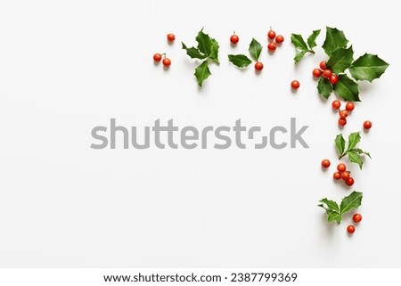 Similar – Image, Stock Photo Red berries on green grid