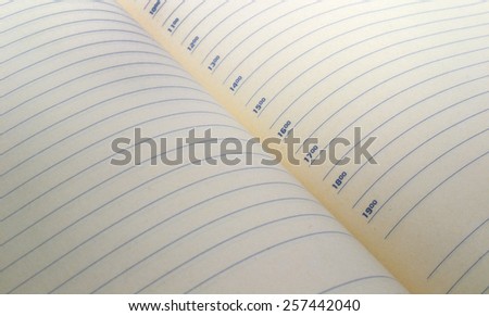 page diary with lined with lines indicating the time and