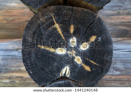 Similar – Image, Stock Photo Cute cut under ancient temple carved in rock