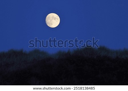 Similar – Image, Stock Photo Dune grass at the Baltic Sea beach