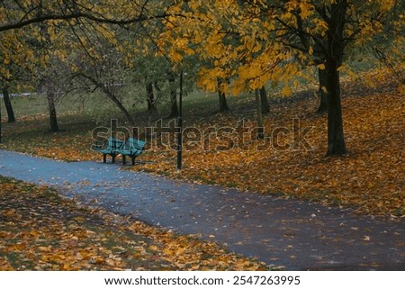 Similar – Image, Stock Photo Small grove on empty dry field