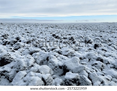 Similar – Image, Stock Photo Snowy farmland against frosted forest at horizon under blue sky with white fluffy clouds