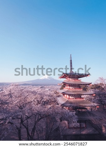 Similar – Image, Stock Photo Cherry tree in full bloom in early spring and at Easter