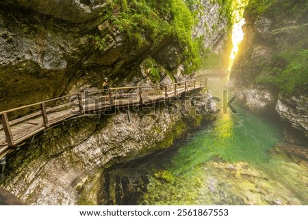 Similar – Image, Stock Photo Vintgar Gorge wooden path and beautiful Radovna river